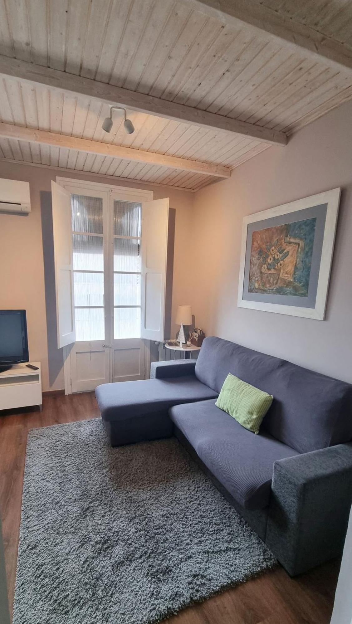 Apartment Sant Francesc Olot Exterior photo